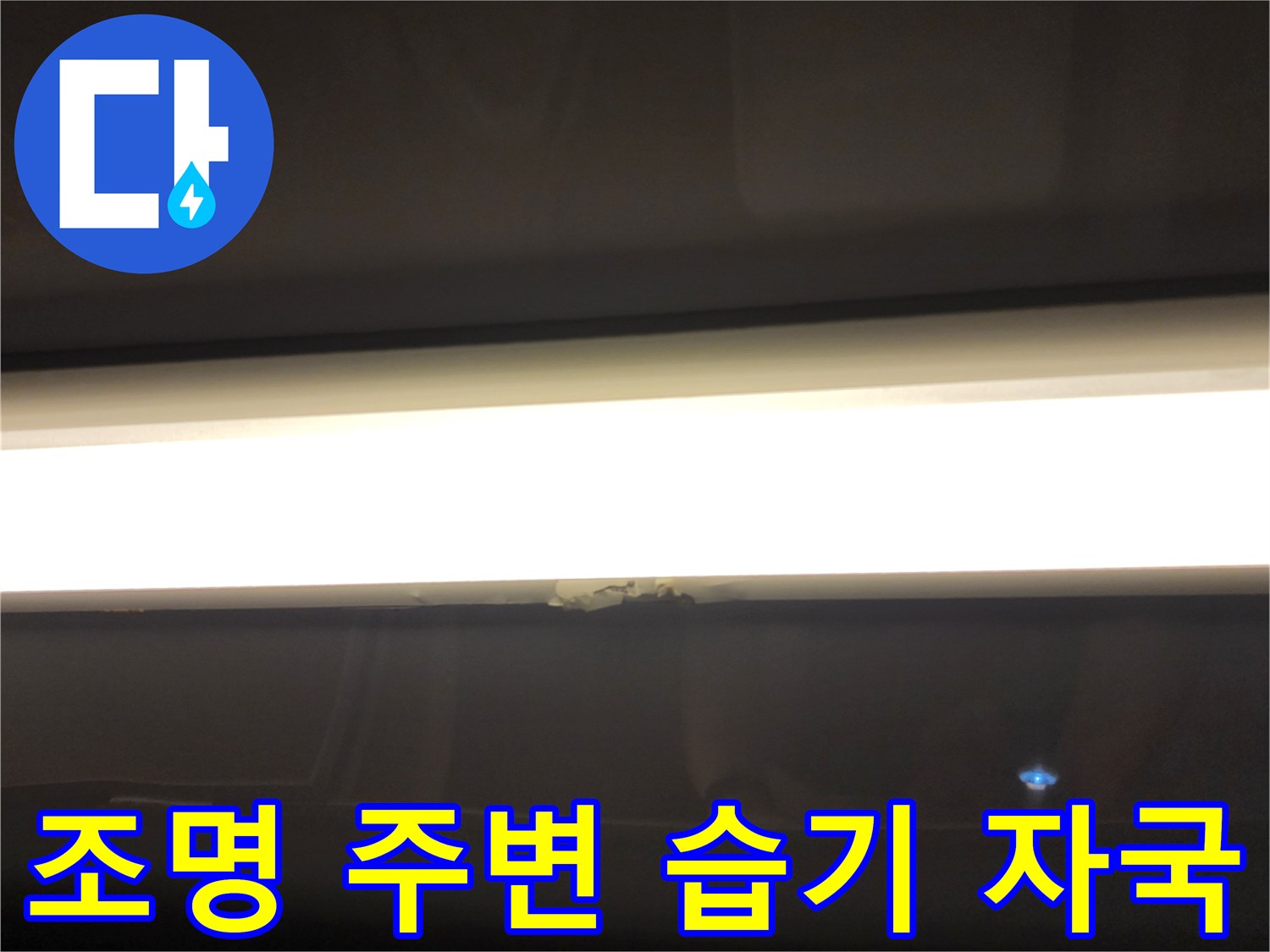 욕실 조명 근처의 젖은 흔적-누수 부위 육안 검사 중