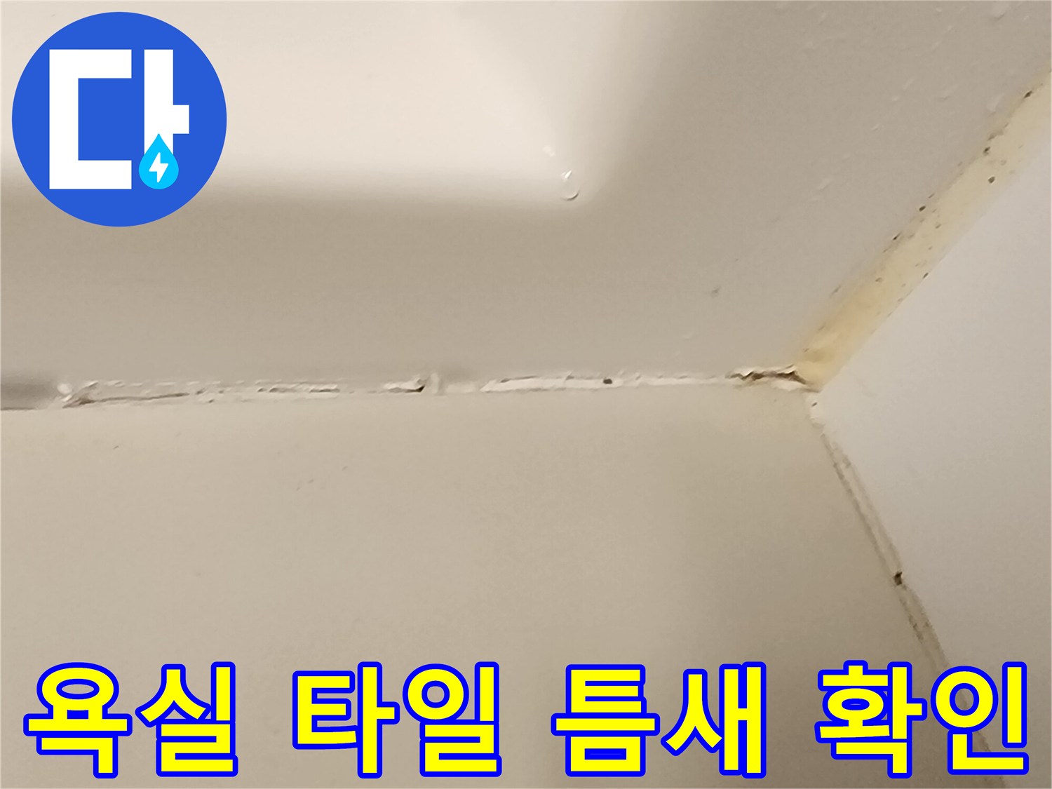 욕실-타일-접합부-균열-상태-확인