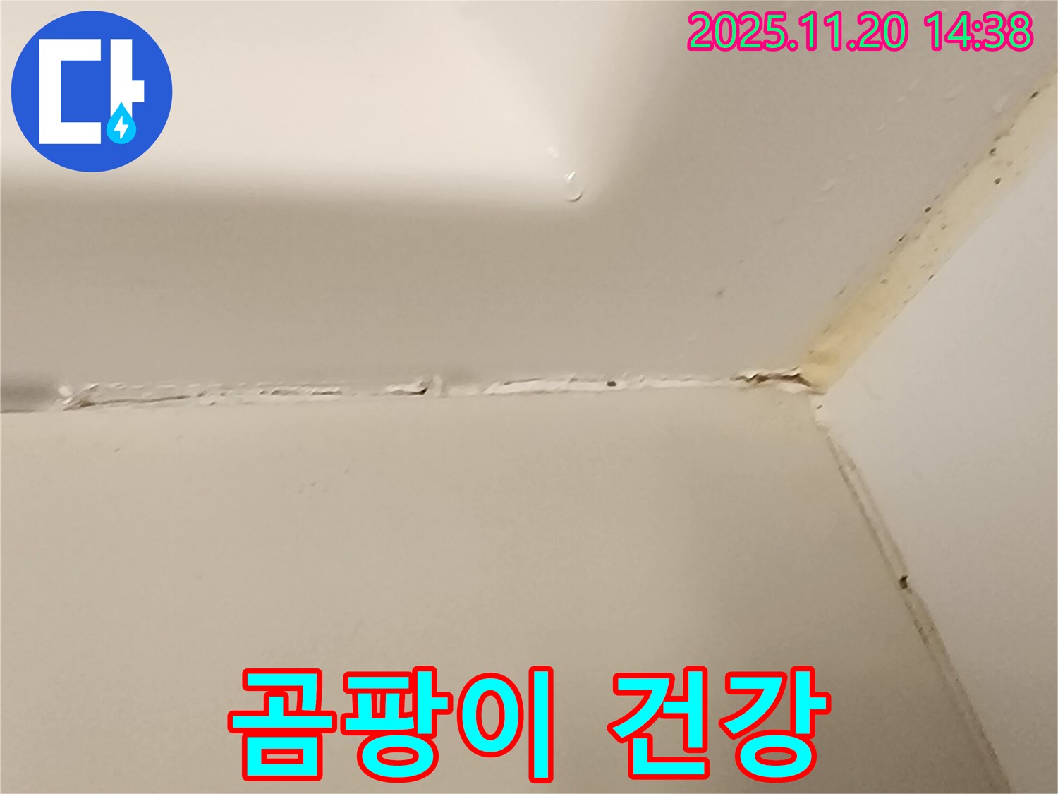 욕조 실리콘 - 곰팡이 건강에 안좋음