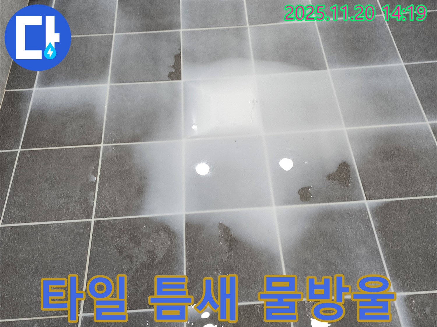 타일 틈새에 맺힌 물방울 - 작은 누수도 놓치지 않습니다.