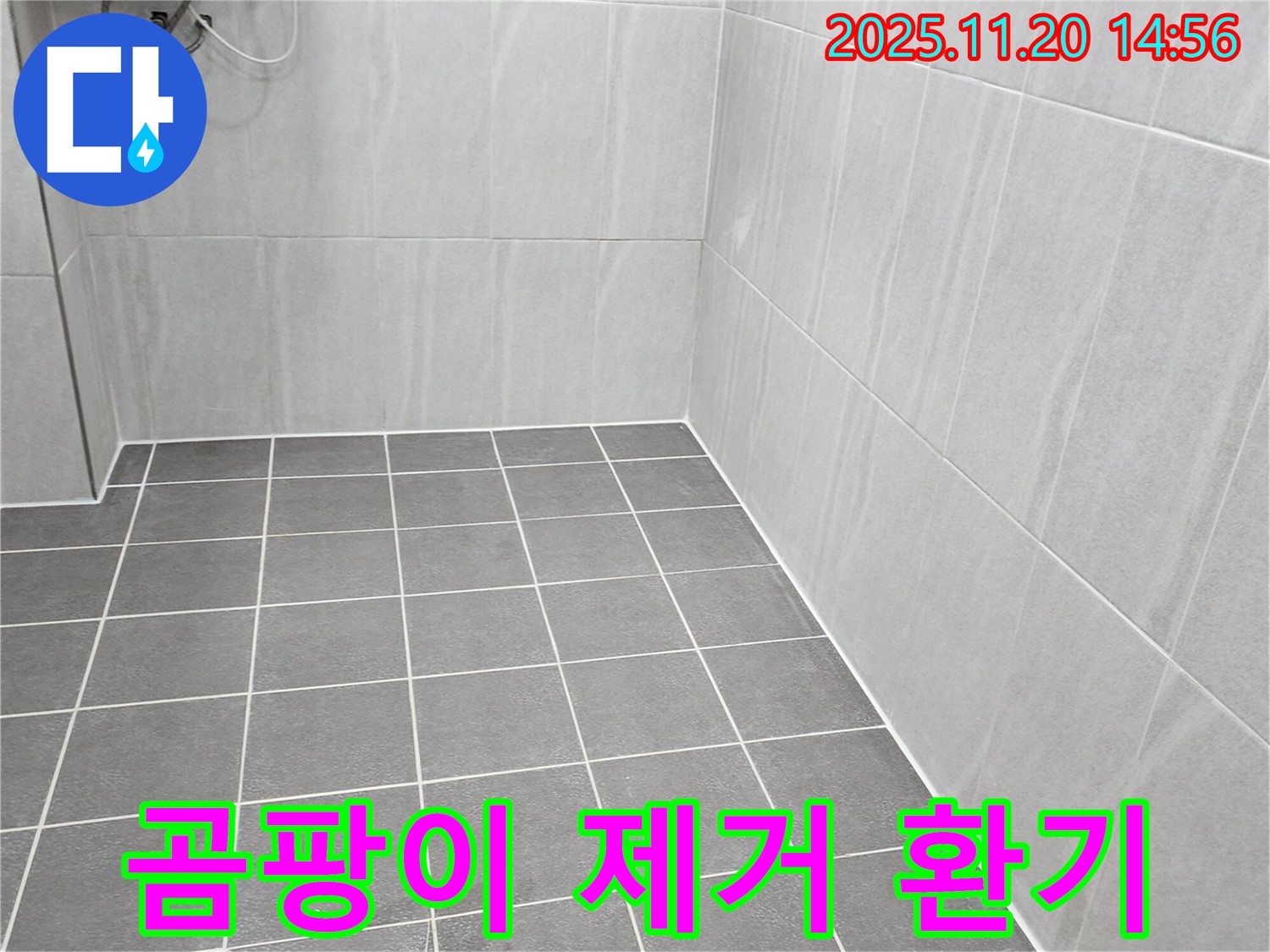 포천 가산면 누수 - 욕실 벽면 타일 곰팡이, 꼼꼼하게 제거하고 환기 시스템 점검으로 곰팡이 재발 방지