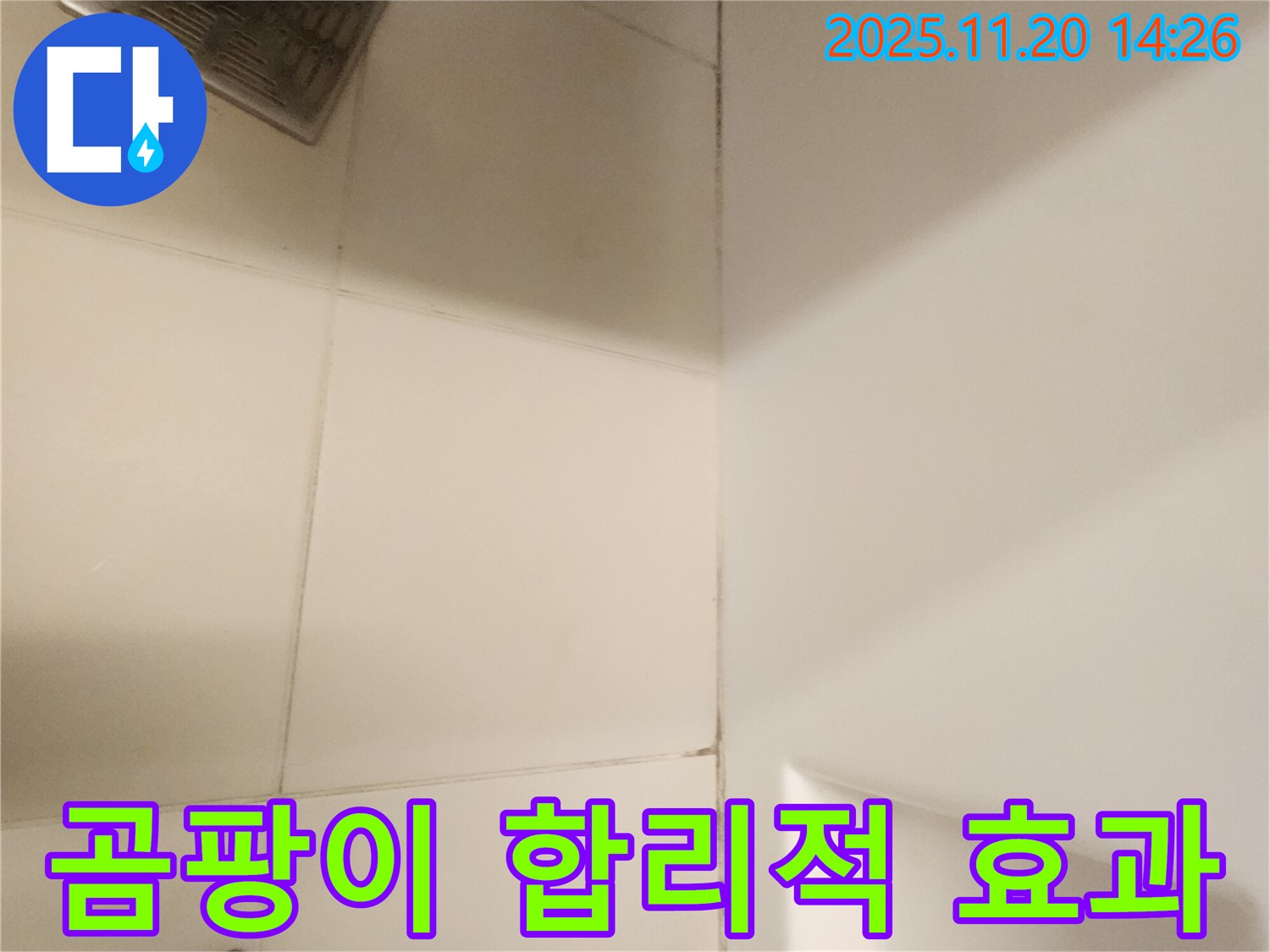 포천 가산면 욕실 - 곰팡이 합리적인 비용으로 확실한 효과를!