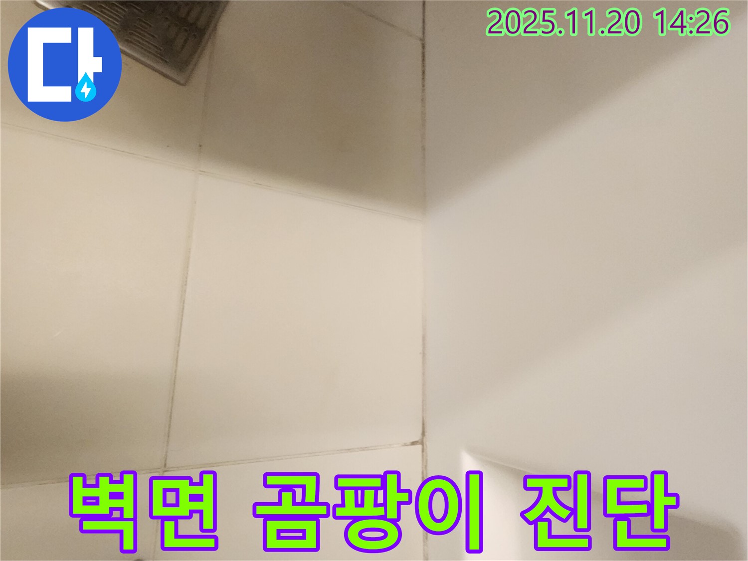 포천 가산면 욕실 - 벽면 곰팡이, 숨겨진 누수 꼼꼼 진단