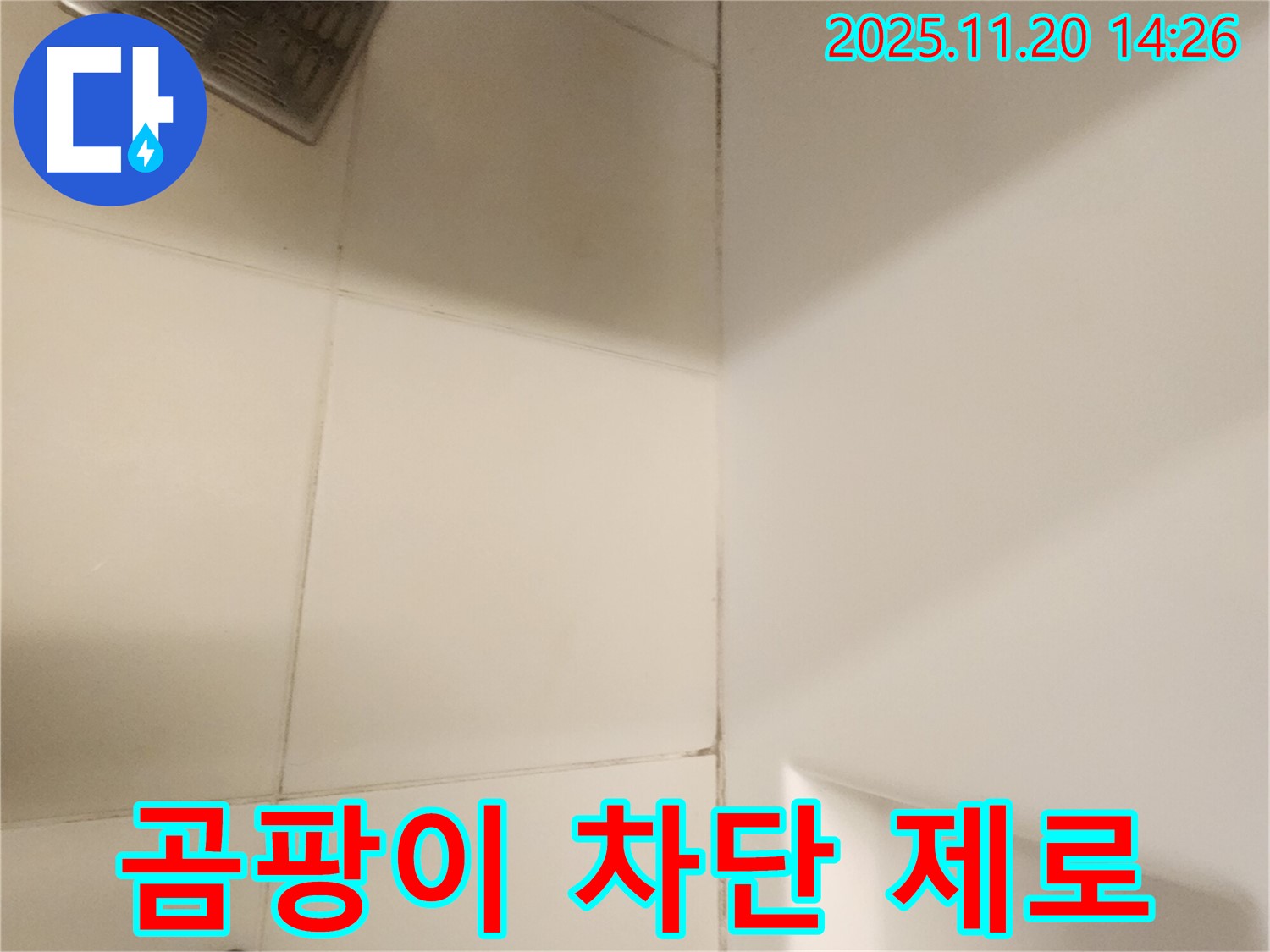 포천 가산면 욕실 - 천장 곰팡이 완벽 차단! 이제 재발 걱정은 ZERO!