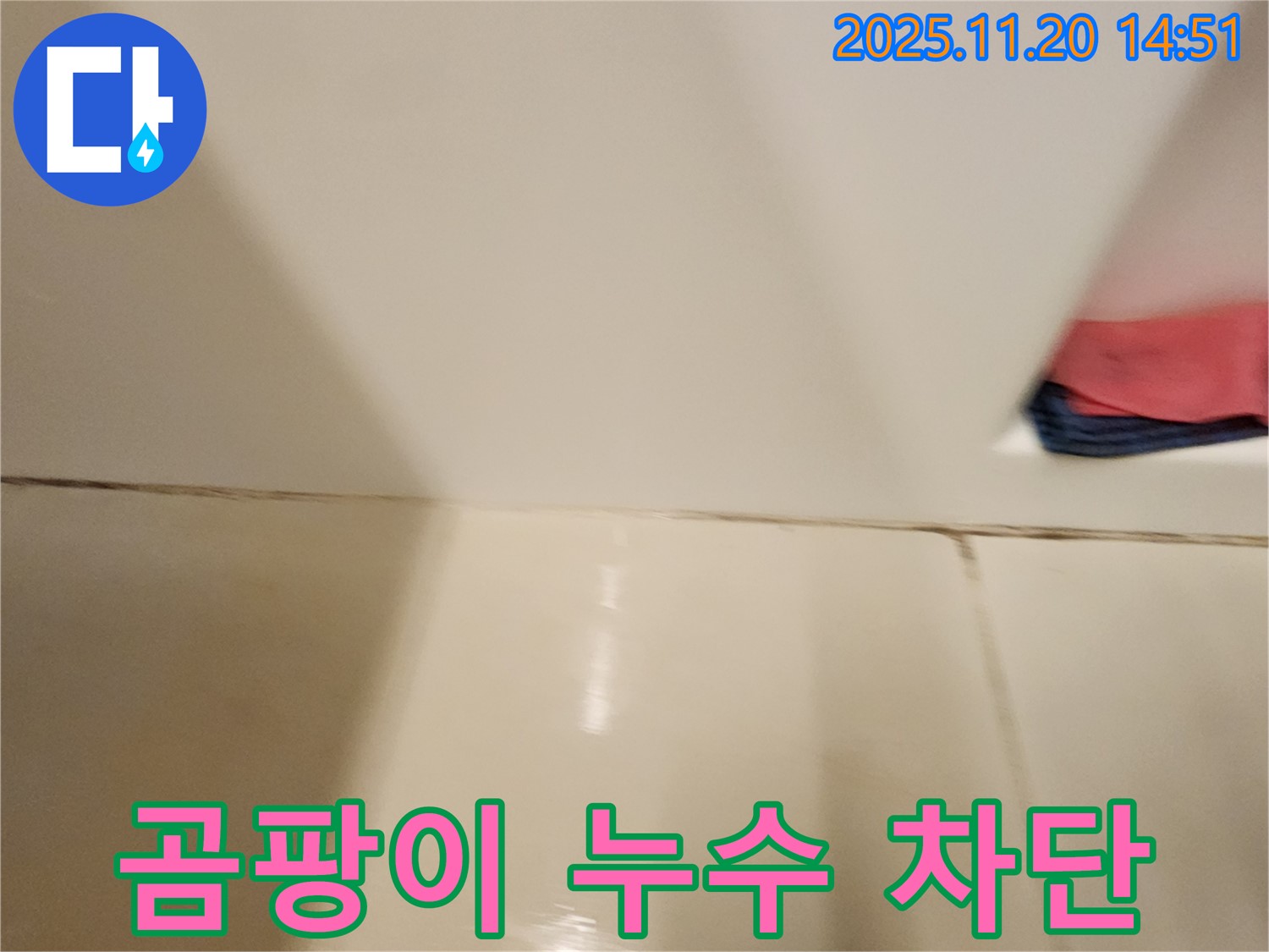 포천 가산면 욕실 타일 틈새 곰팡이 누수 - 곰팡이 제거 후 완벽한 방수 시공으로 누수 원천 봉쇄!