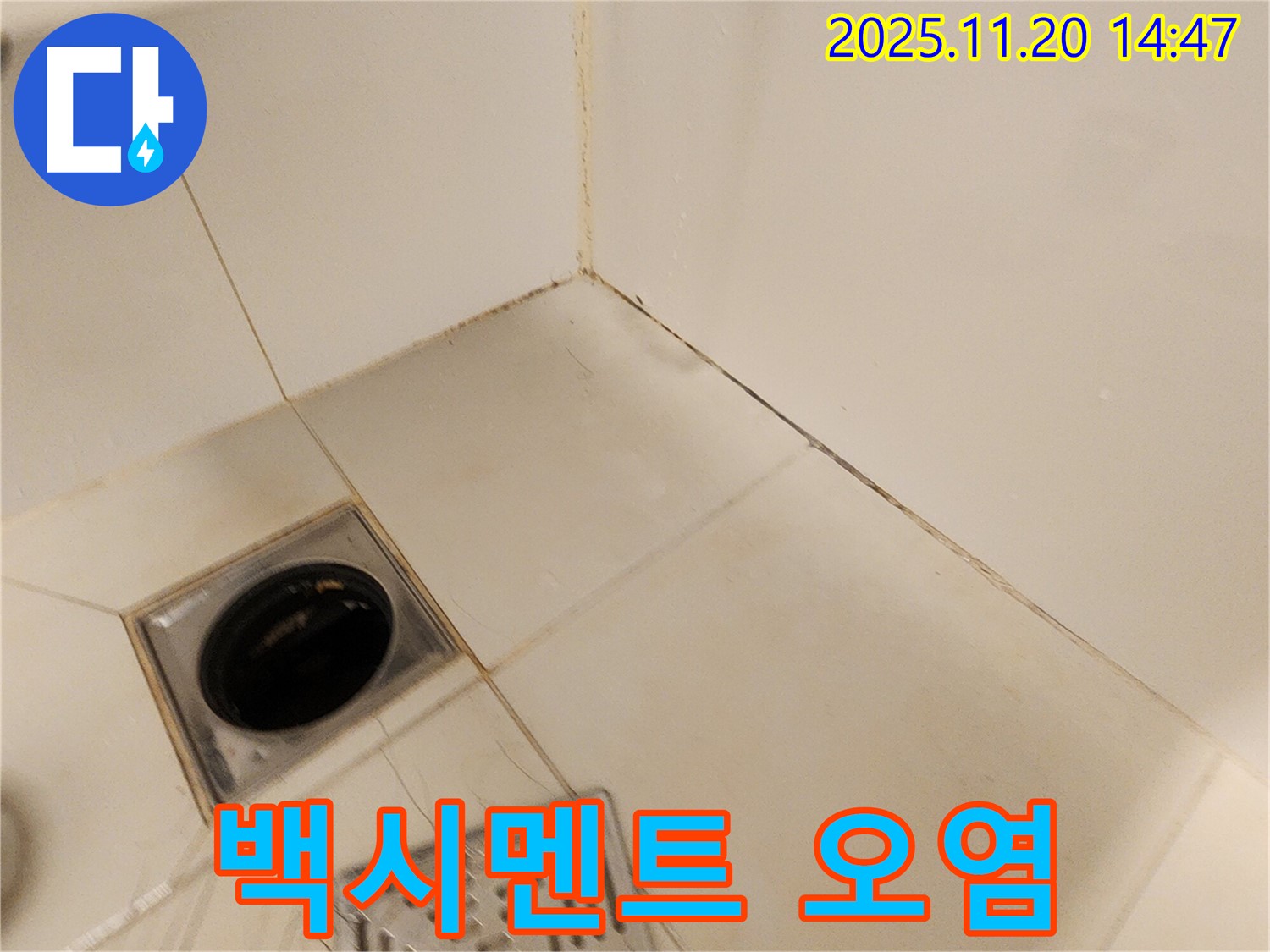 포천 마산리 샤워기 벽면 - 샤워기 벽면 하단 타일 틈새 백시멘트가 오염되어 누수 점검합니다.