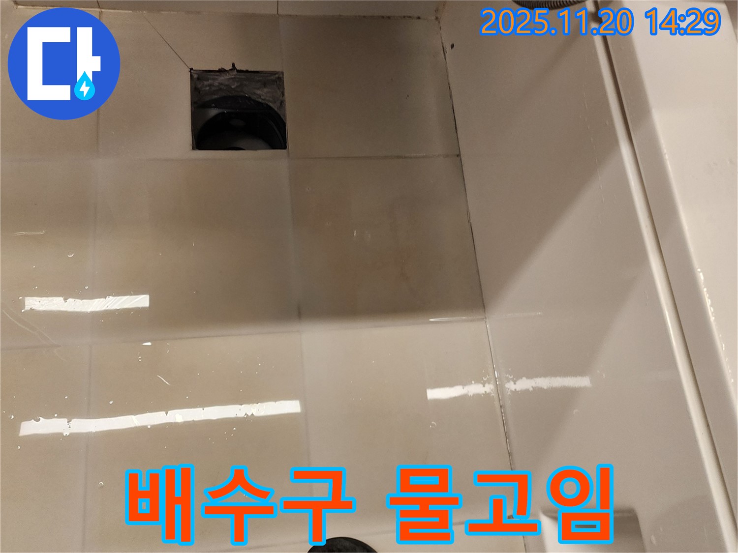 포천시 가산면 마산리 욕실 배수구 누수 - 배수구 주변 물고임 현상을 꼼꼼하게 확인