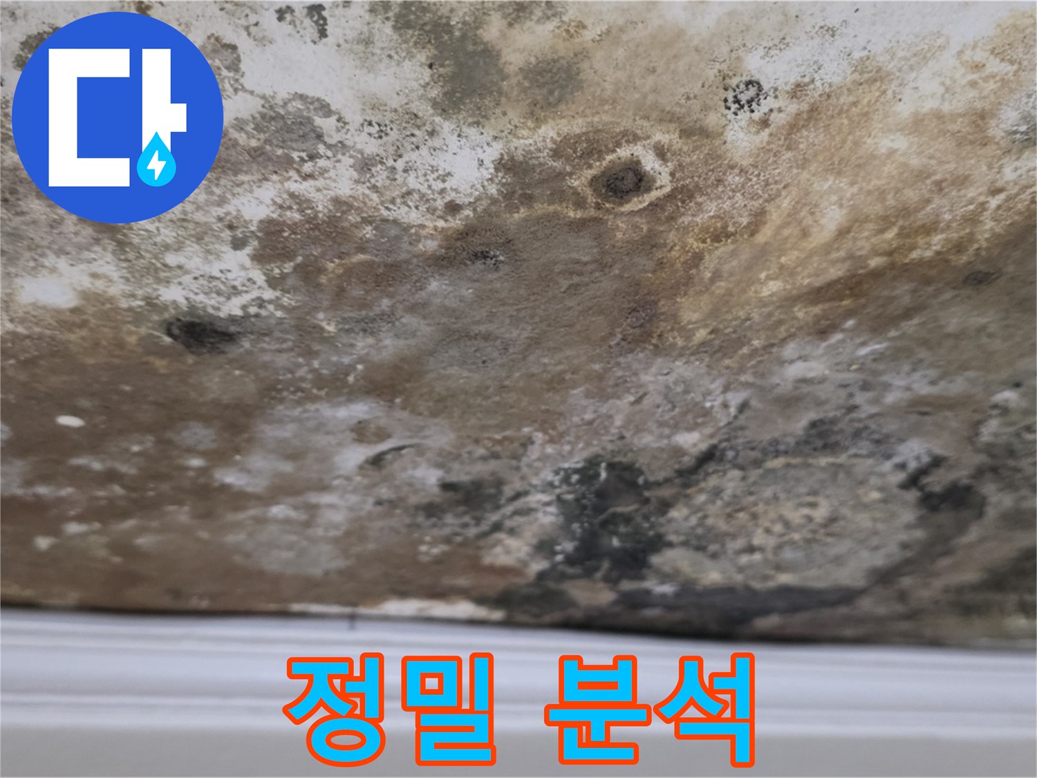 곰팡이 얼룩진 천장 - 정밀 원인 분석 중