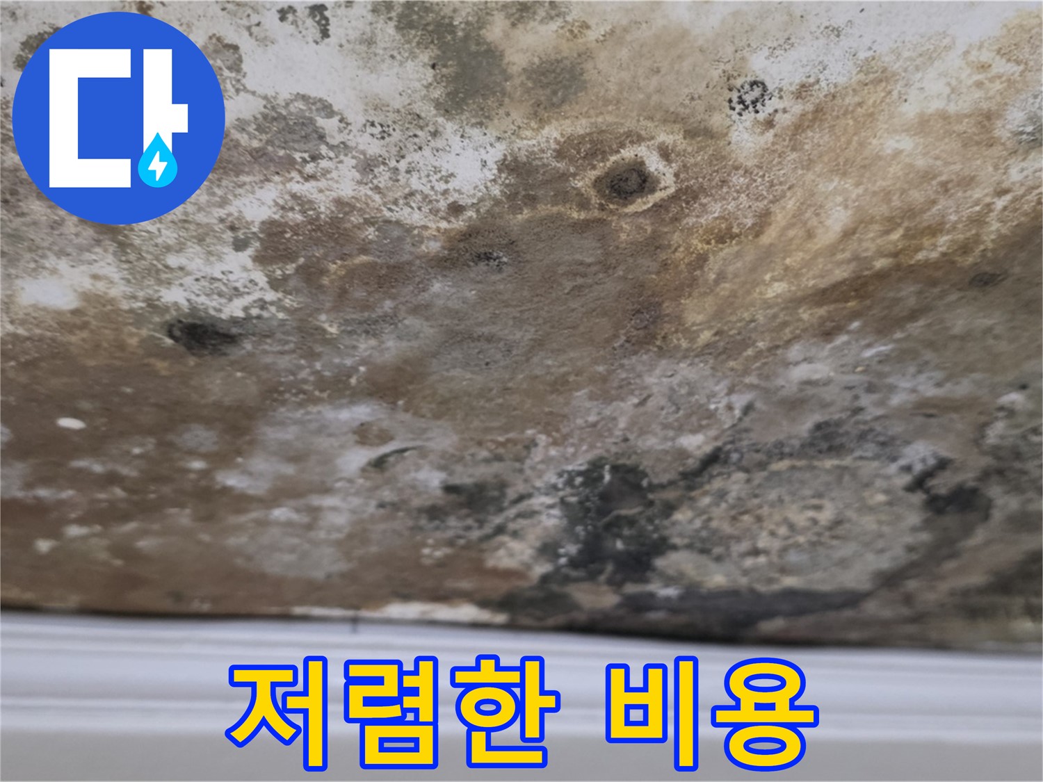 곰팡이 천장 - 저렴한 비용으로 누수 해결 가능!