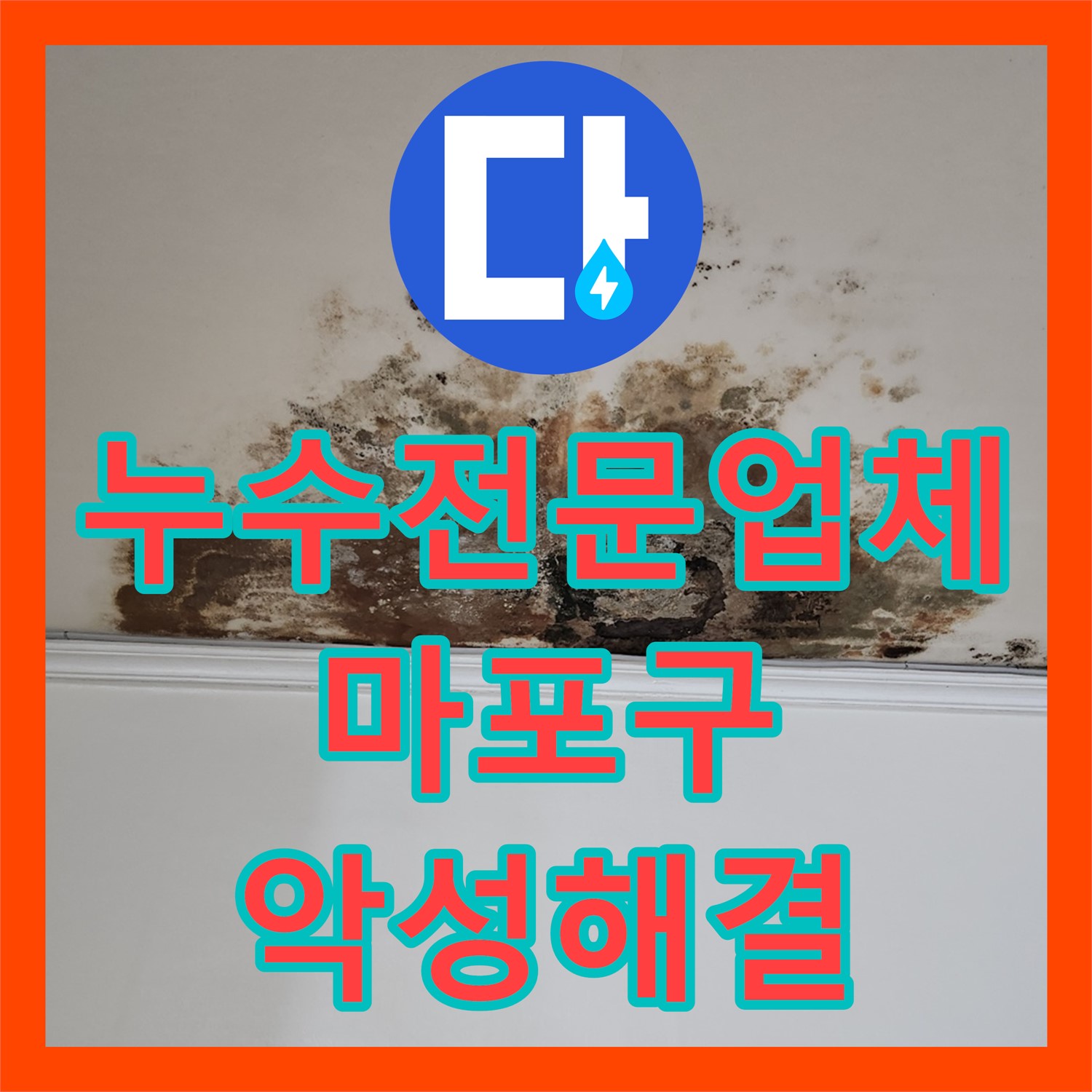 누수전문업체 선택으로 악성 미세 누수 문제를 끈기 있게 해결하는 과정, 마포구
