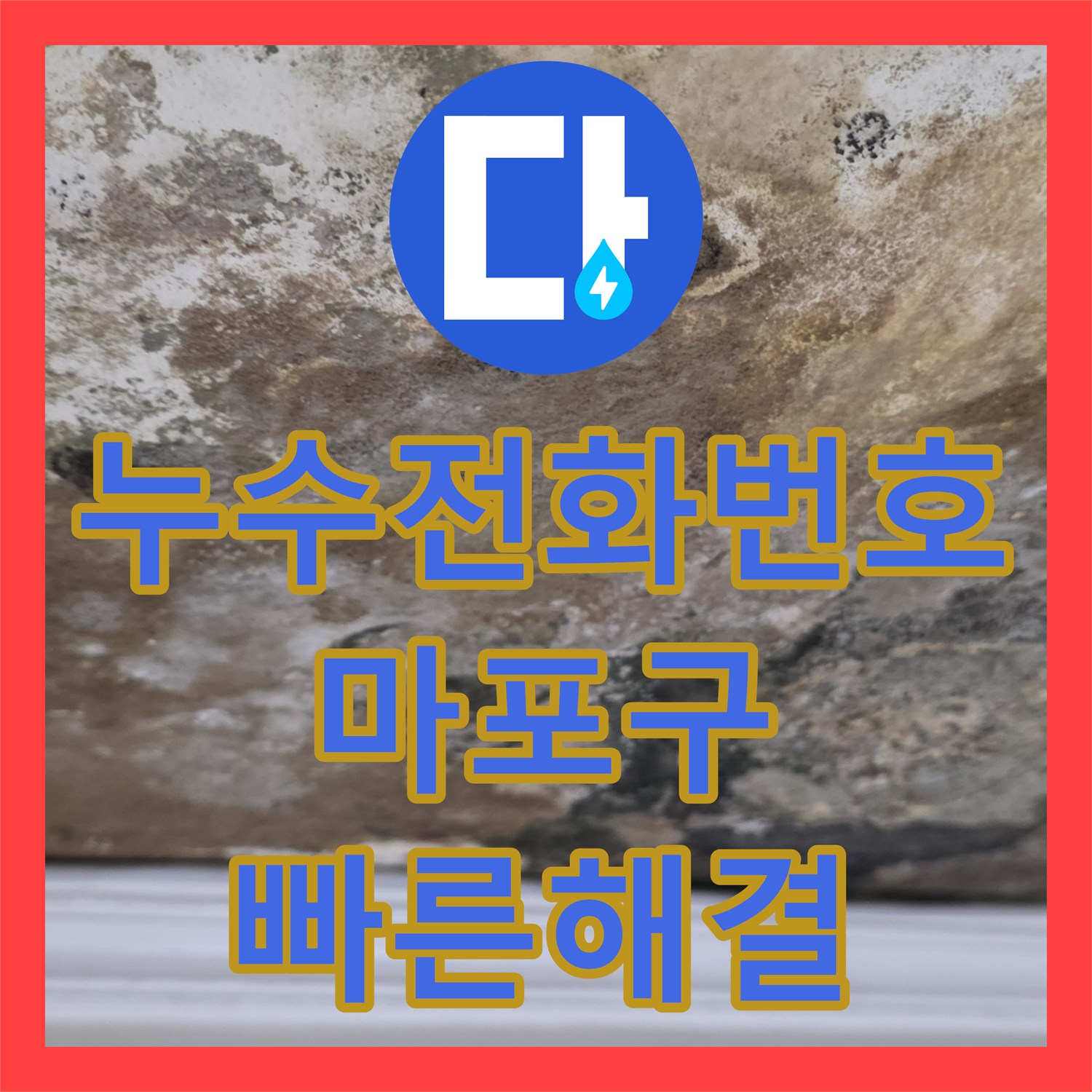 누수전화번호로 아랫집 천장 누수 문제를 신속하게 탐지하고 공사 진행한 서울 마포구 도화동