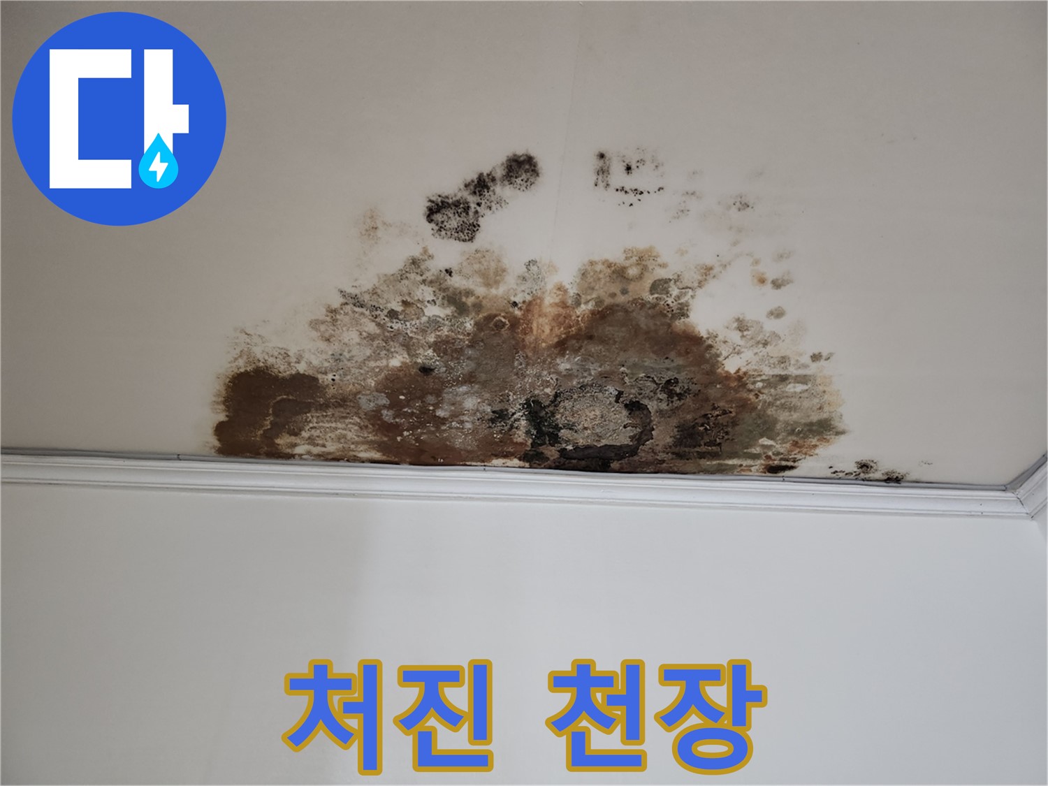 마포 누수 - 곰팡이, 처진 천장