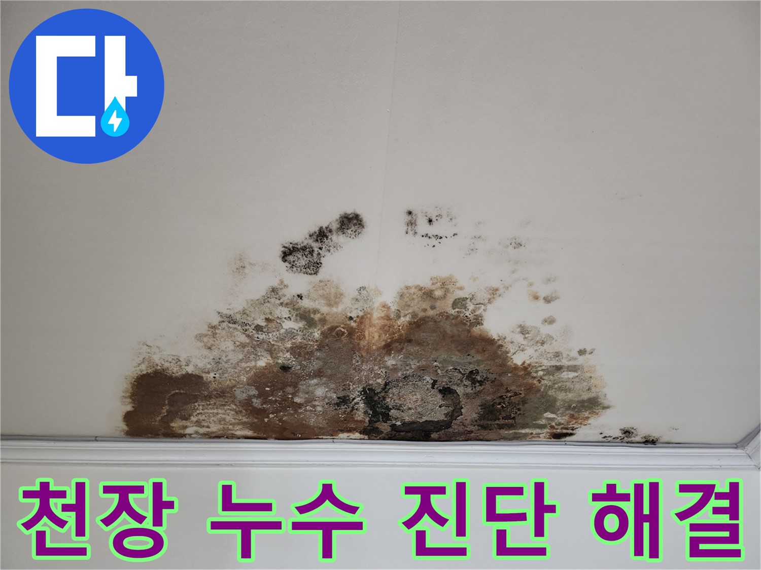 마포구 누수탐지 - 곰팡이 핀 천장의 정확한 진단과 해결