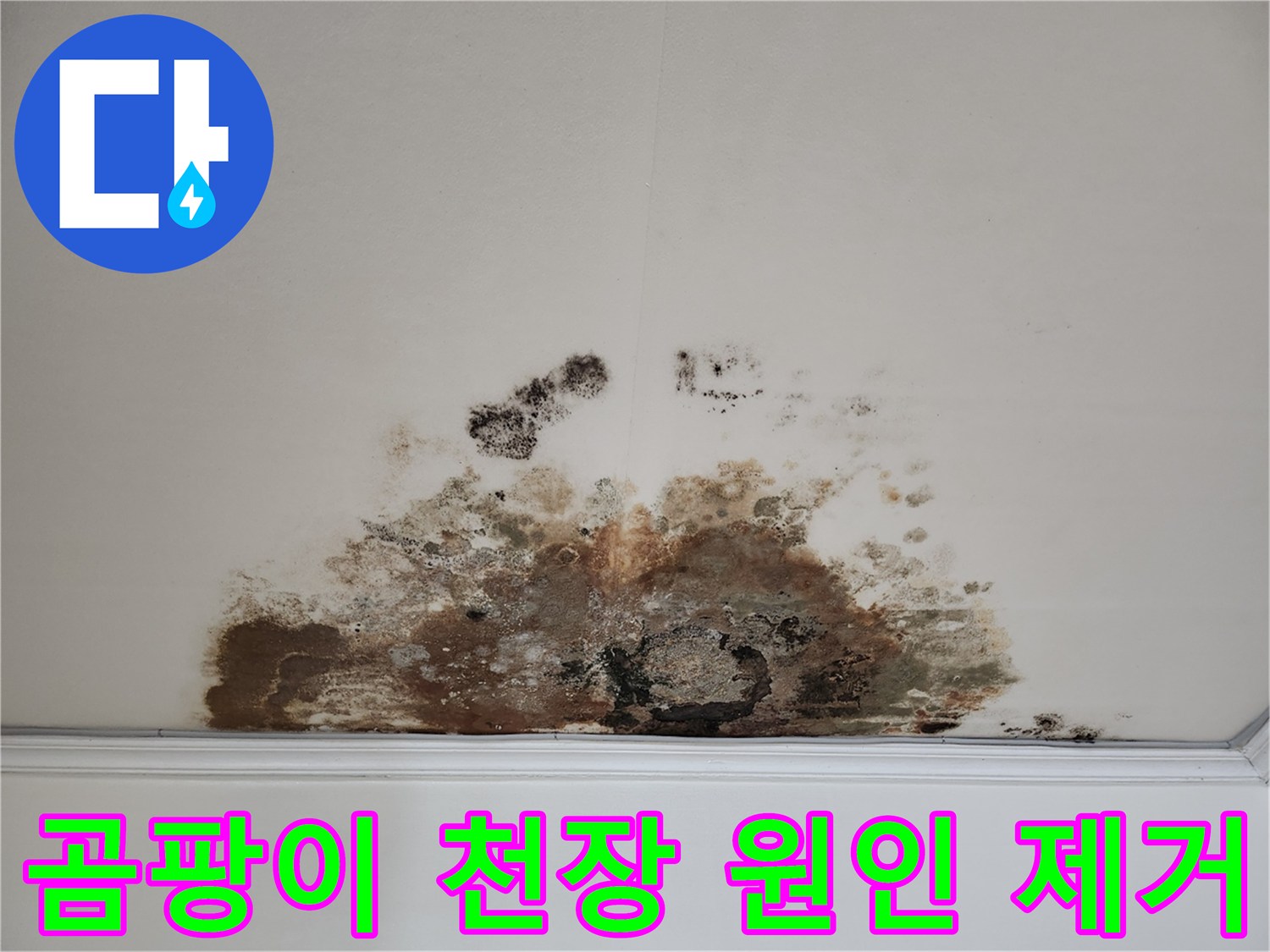 마포구 용강동 곰팡이 천장 - 누수 원인 뿌리 뽑기, 재발 제로