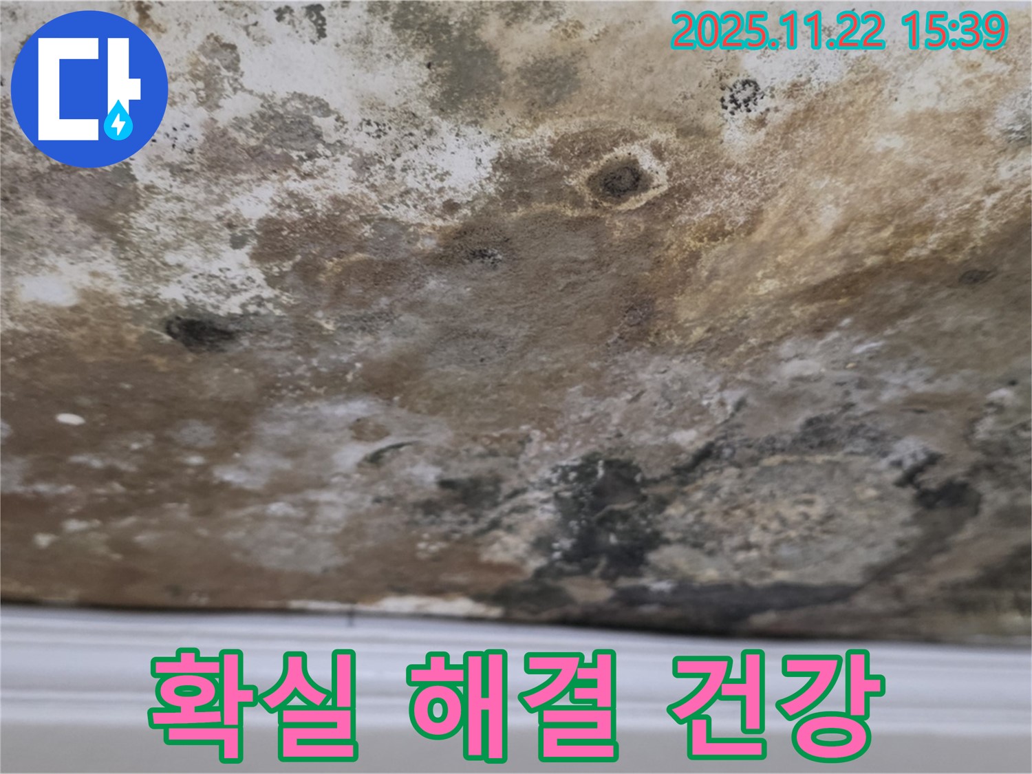 마포구 용강동 - 곰팡이 천장, 확실하게 해결, 건강하고 쾌적한 보금자리 완성!