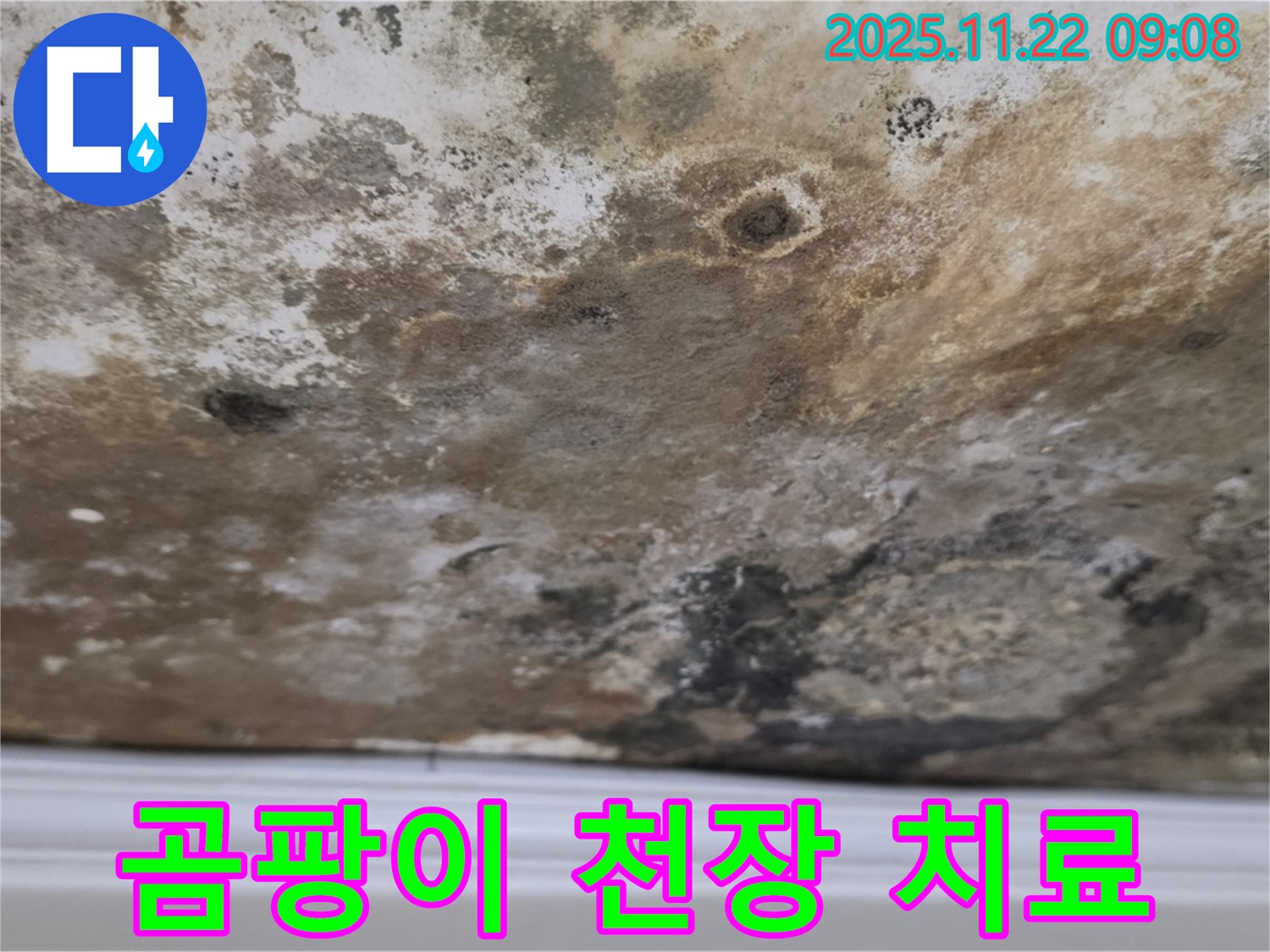 마포구 용강동 누수 - 곰팡이 쇼크, 천장 응급 치료 시작!