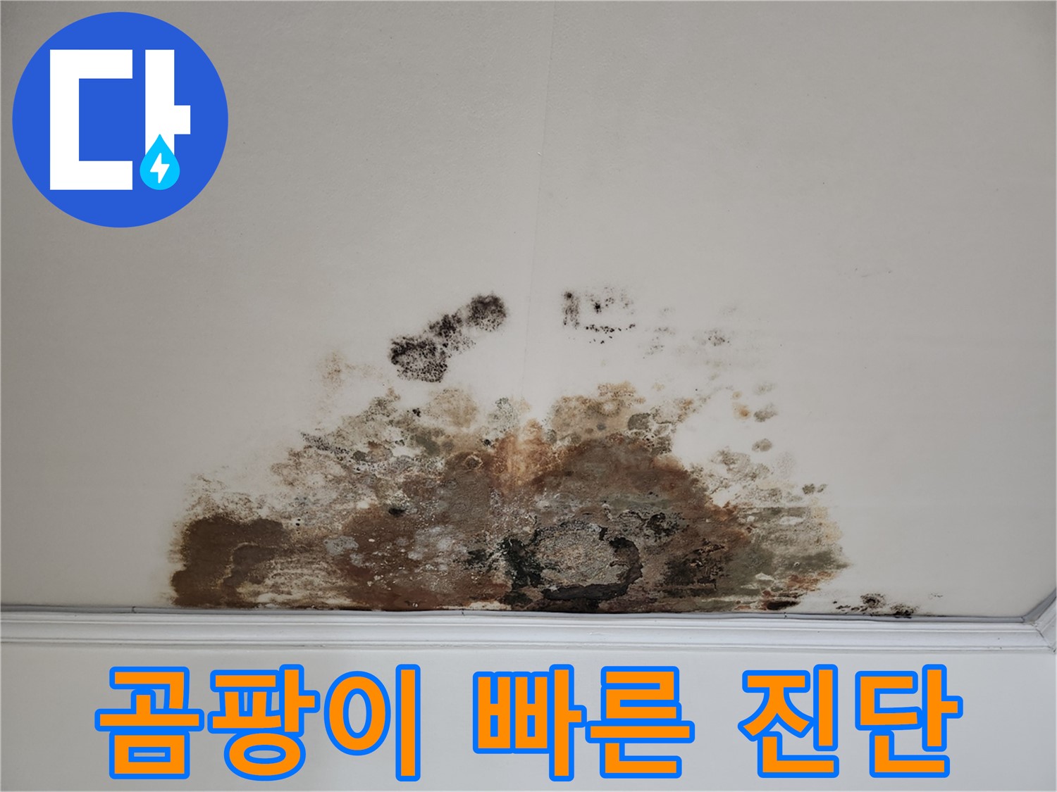 마포구 용강동 누수 - 곰팡이 천장, 빠른 진단 및 완벽 시공