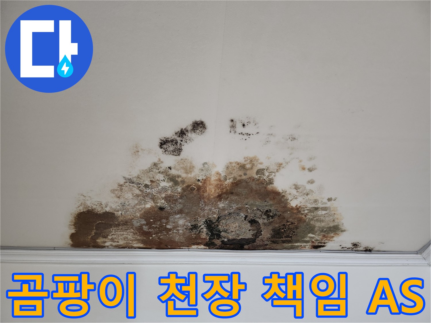 마포구 용강동 누수, 곰팡이 천장 - 철저한 A/S, 끝까지 책임집니다