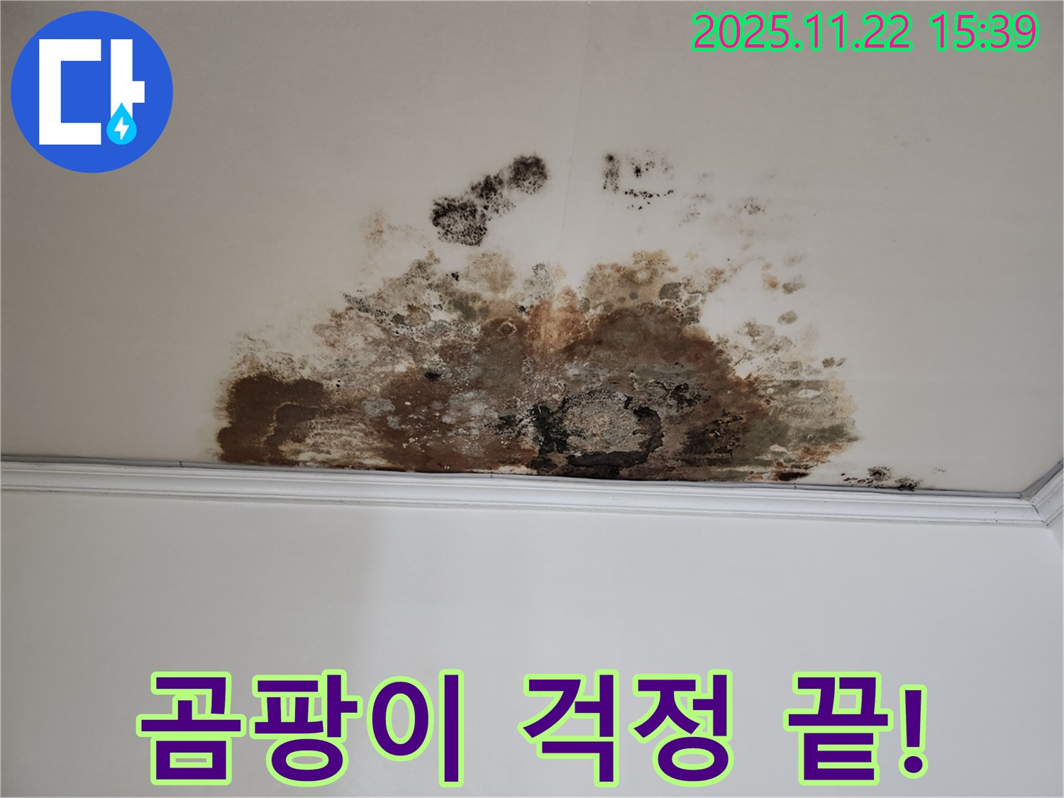 마포구 용강동 새창로8길 누수 - 곰팡이 걱정 끝, 현대홈타운 완벽 해결