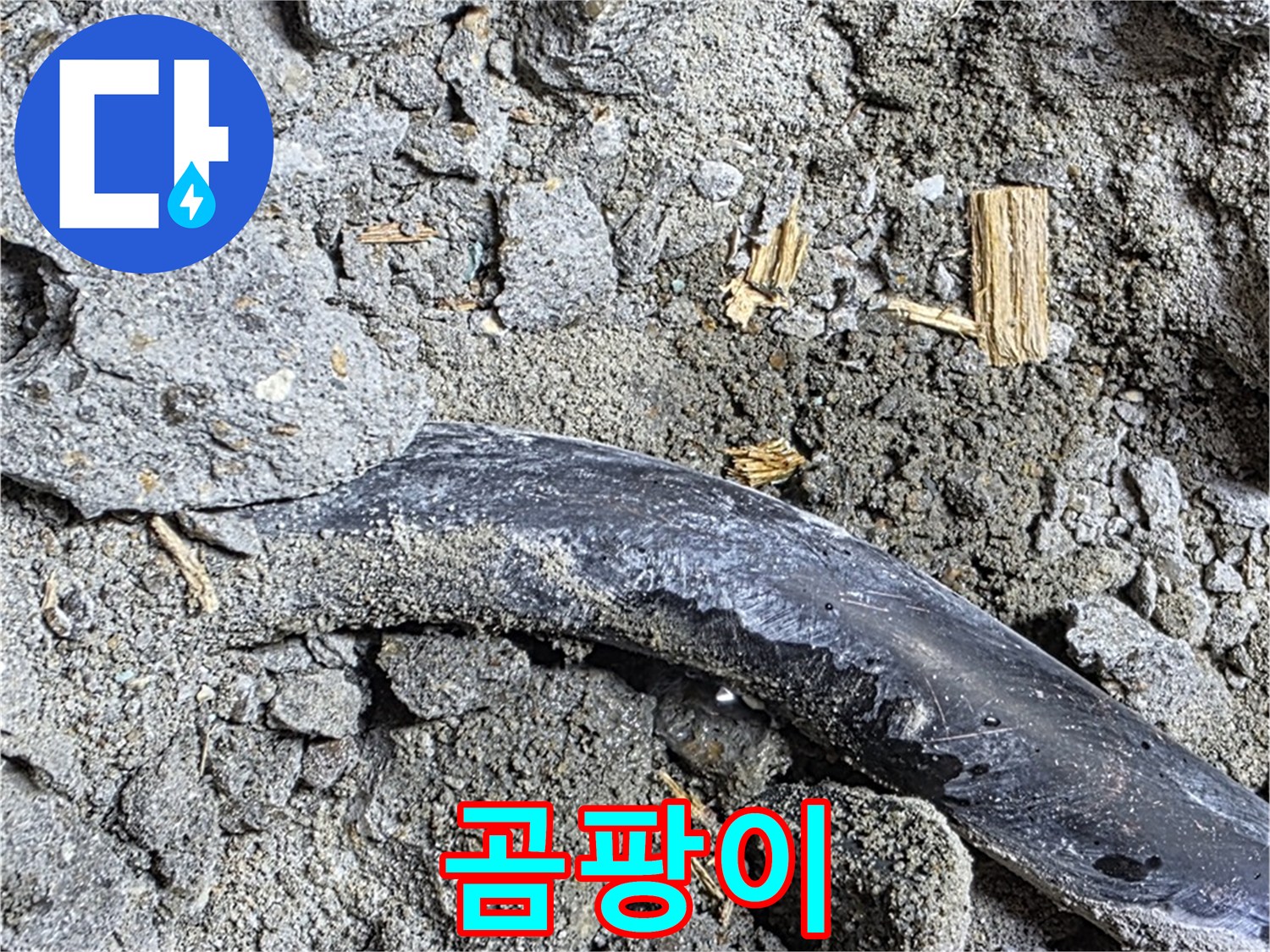 마포구 용강동 현대홈타운 - 곰팡이 핀 콘크리트 - 누수 진행 중 의심
