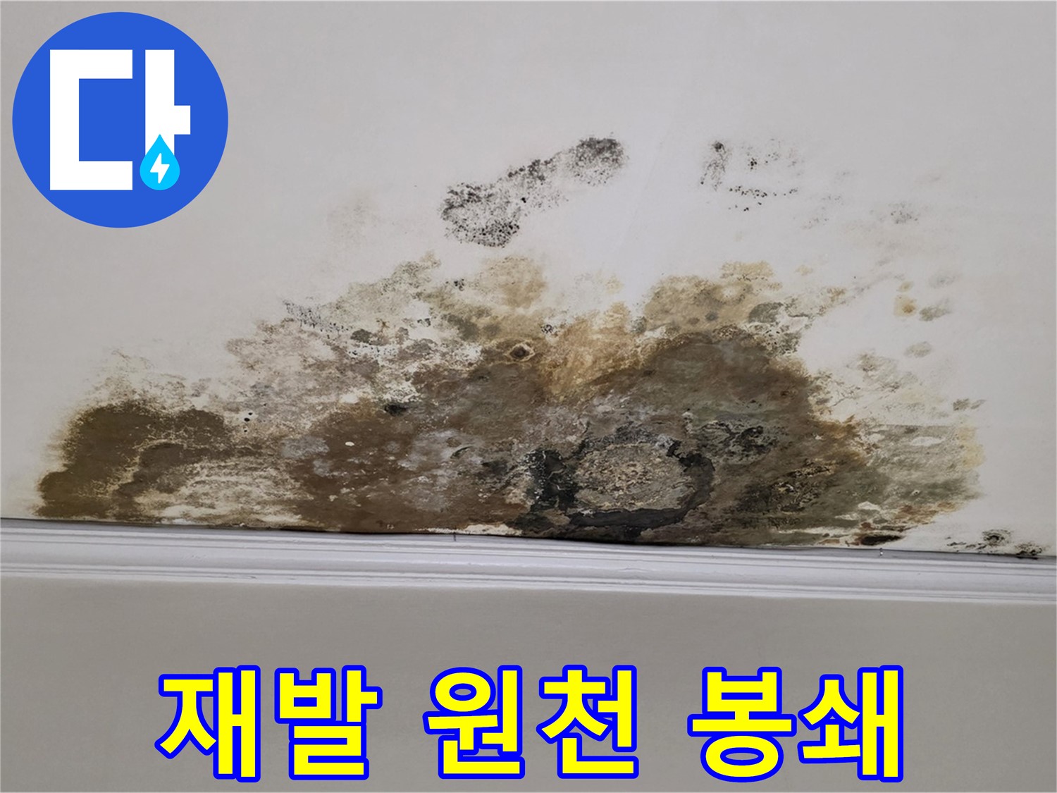 마포구 용강동 현대홈타운 아파트 - 곰팡이 천장 - 곰팡이 재발 원천 봉쇄, 확실한 차단