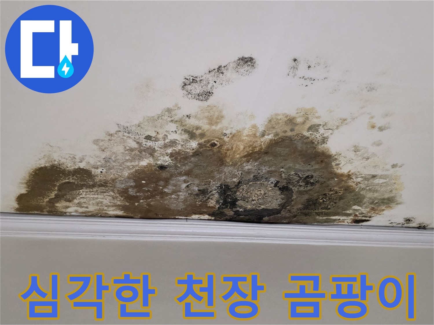 마포구 용강동 현대홈타운 아파트 - 심각한 천장 누수와 곰팡이의 흔적
