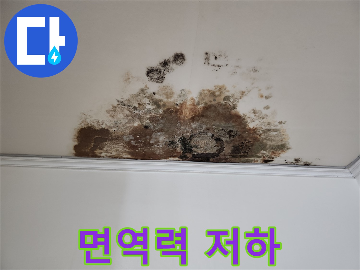 마포구 용강동 현대홈타운 천장 누수 - 면역력 저하