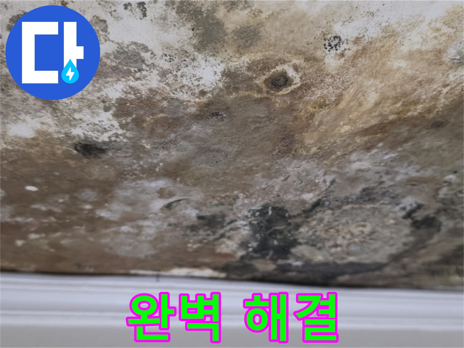 완벽한 누수 해결 - 고객 맞춤형 솔루션 제공