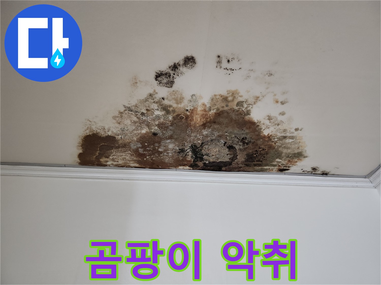 용강동 누수 - 곰팡이 악취 제거