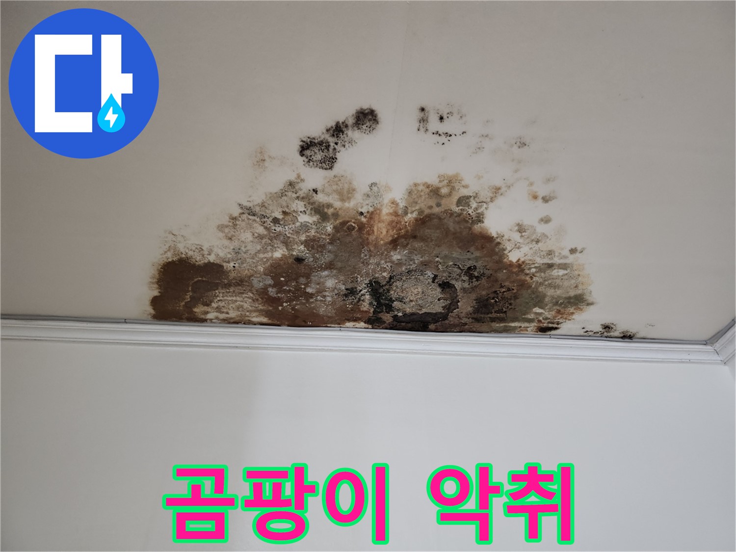 용강동 누수 - 곰팡이 악취 제거