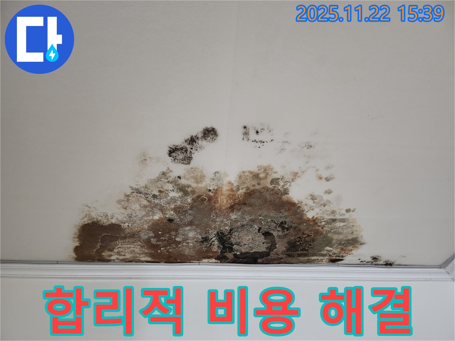 용강동 아파트 천장 - 곰팡이 누수, 합리적인 비용으로 확실하게 해결