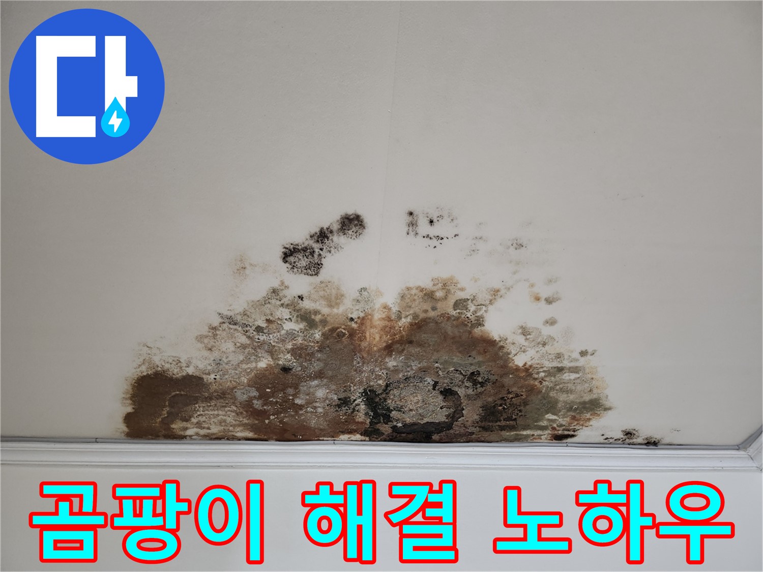 용강동 아파트 천장 누수 - 곰팡이, 완벽 해결 노하우 공개
