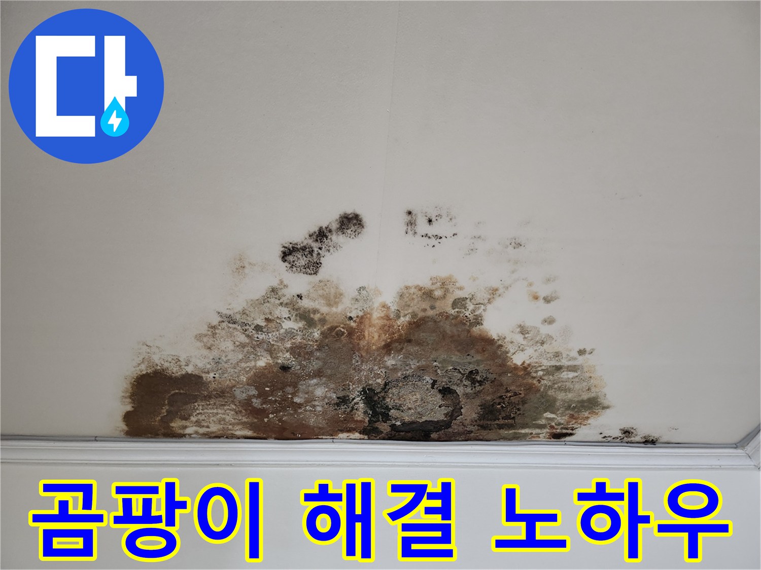 용강동 아파트 천장 누수 - 곰팡이, 완벽 해결 노하우 공개