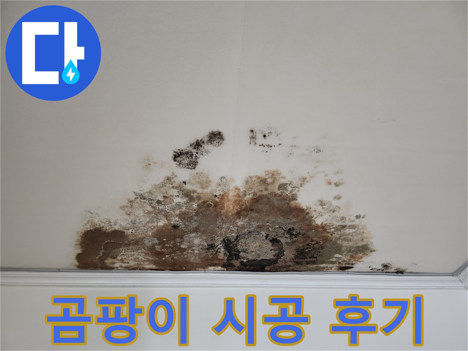 용강동 현대홈타운 누수 해결 - 곰팡이 천장 완벽 시공 후기