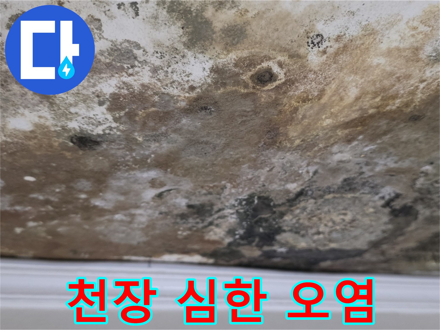 천장 전체가 심하게 오염된 모습 - 누수로 인해 발생한 심각한 천장 오염 상태를 보여줍니다.