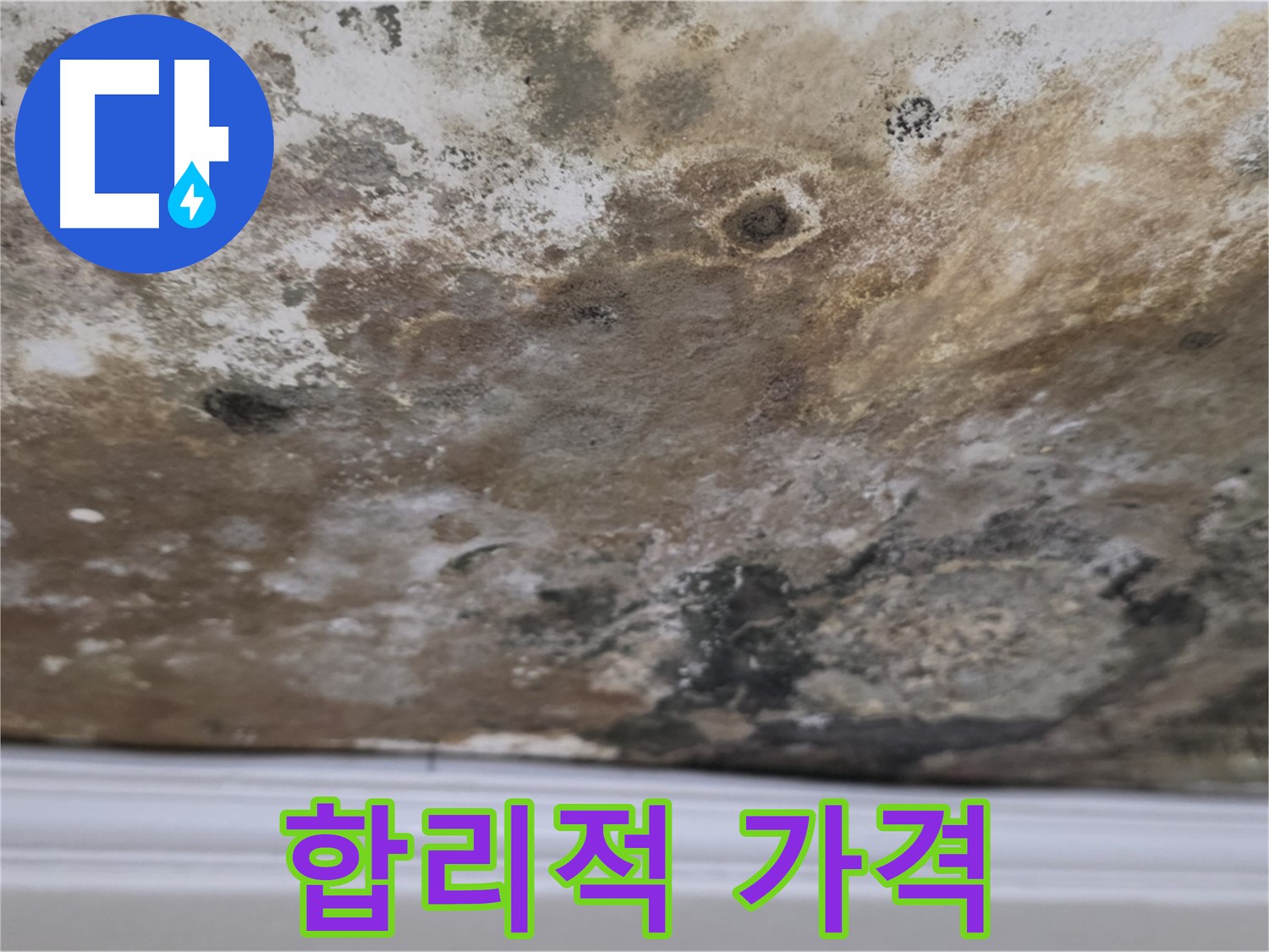 합리적인 가격으로 누수 해결 - 합리적인 가격으로 누수 문제를 해결하는 과정을 보여줍니다.
