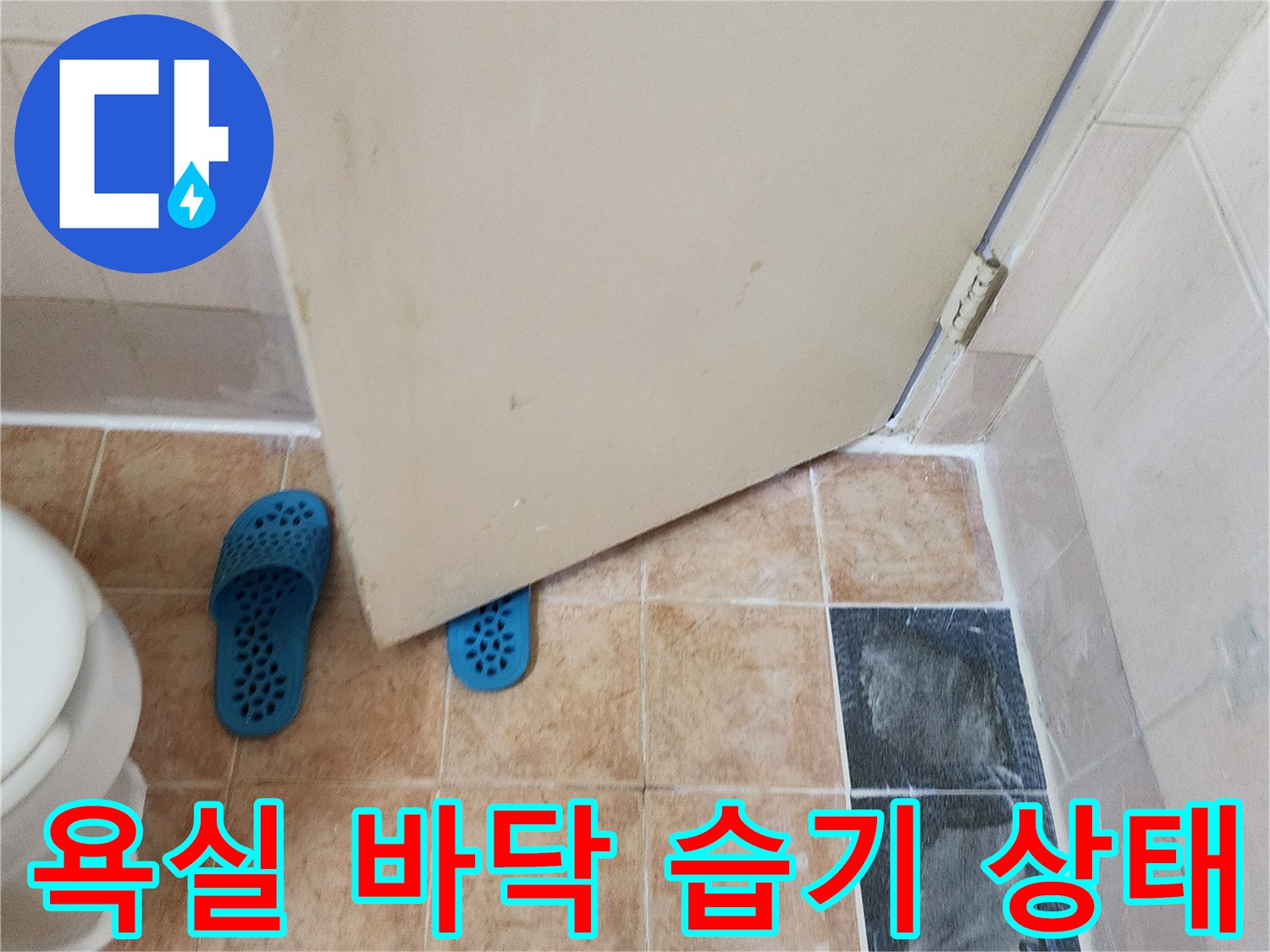 가산면 현장-화장실 바닥 타일과 배수구 근처
