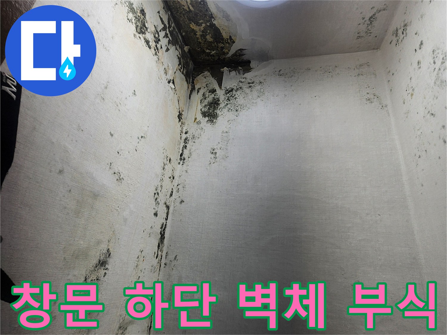 누수 피해 현장-창문 주변의 심한 곰팡이와 벽면 오염