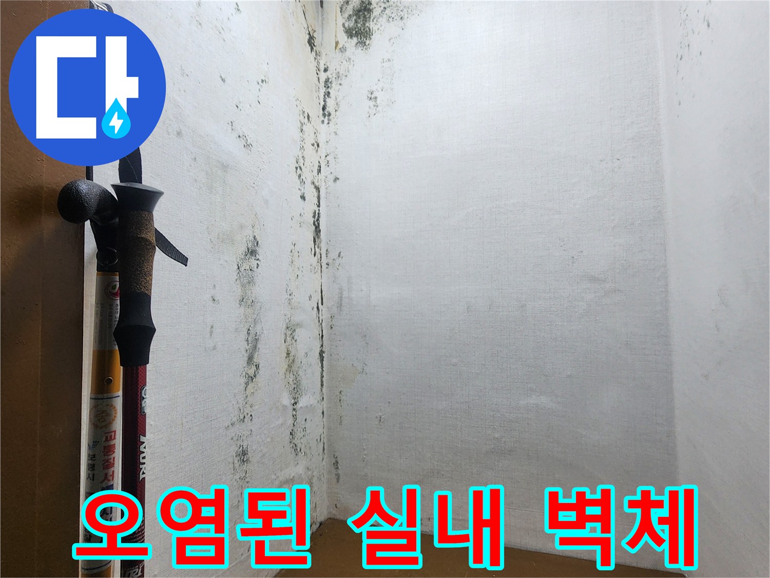 의정부_신곡동-누수로_발생한_벽면_곰팡이와_얼룩