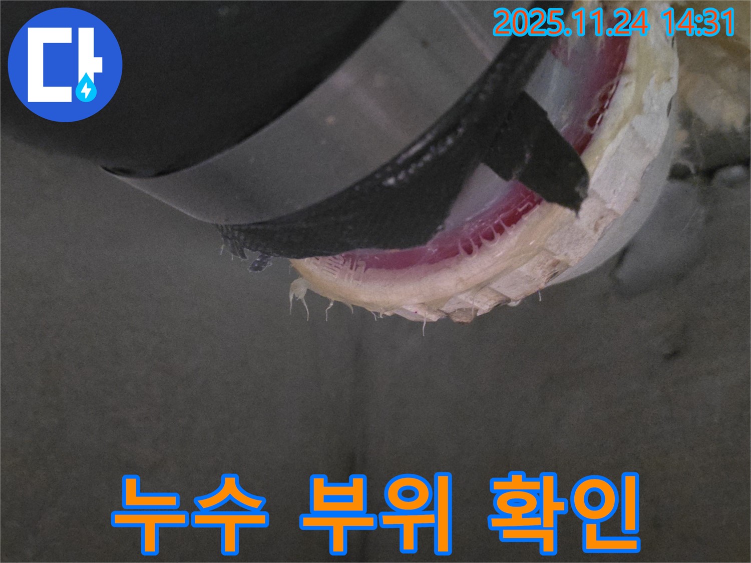 누수되는 배관 연결 부위를 확인하는 모습 - 정확한 진단이 중요합니다.
