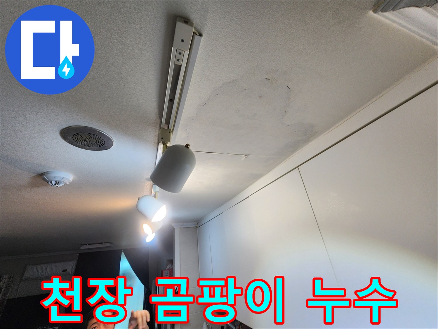 공릉2단지 아파트 누수 - 천장 곰팡이 건강 위협 - 곰팡이 완벽 제거 약속