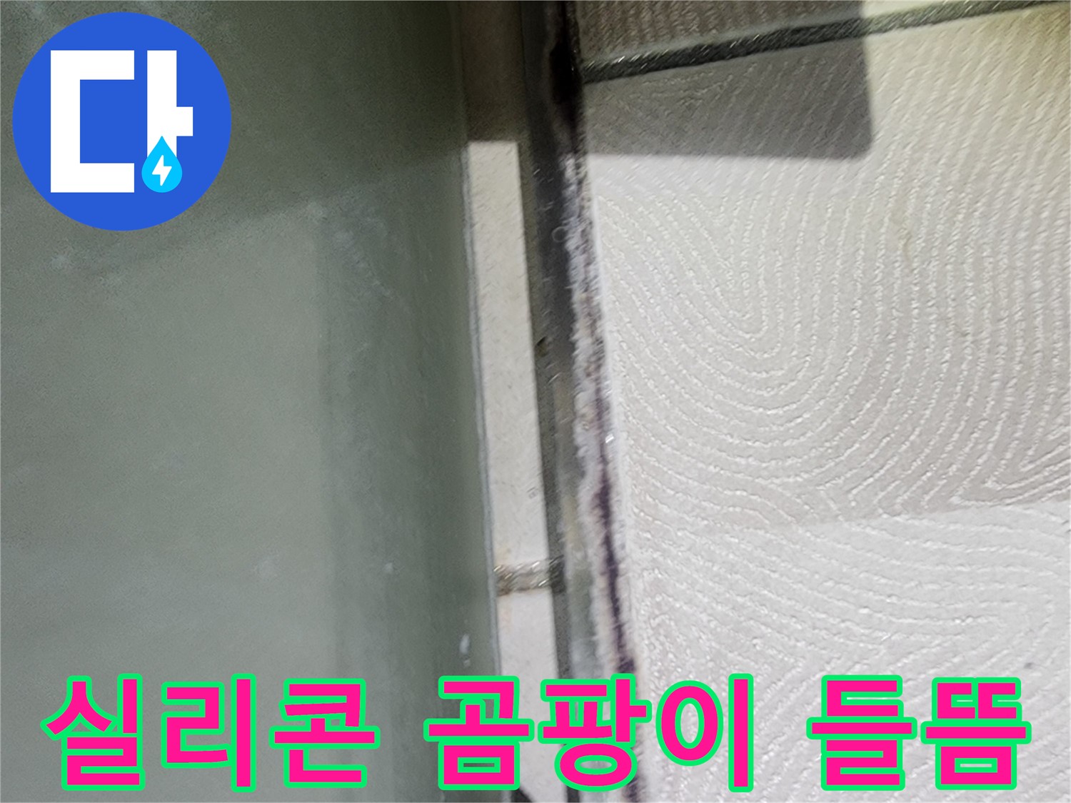 이의동 아파트 누수 - 실리콘 곰팡이와 들뜸 현상 확인