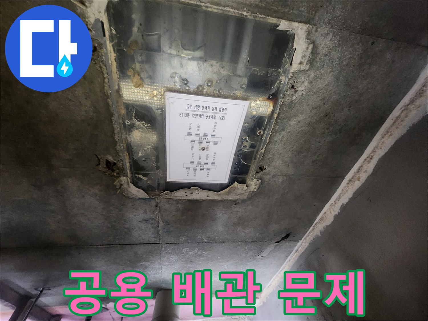 이의동 아파트 누수 - 천장 누수, 공용 배관 문제로 인한 누수