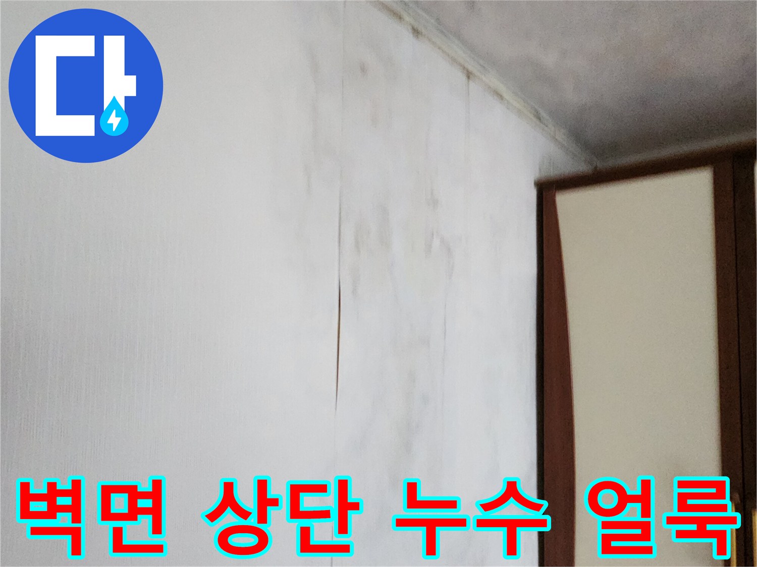 천장 경계 부위의 젖은 벽지와 곰팡이 발생 현황을 보여주는 사진입니다.