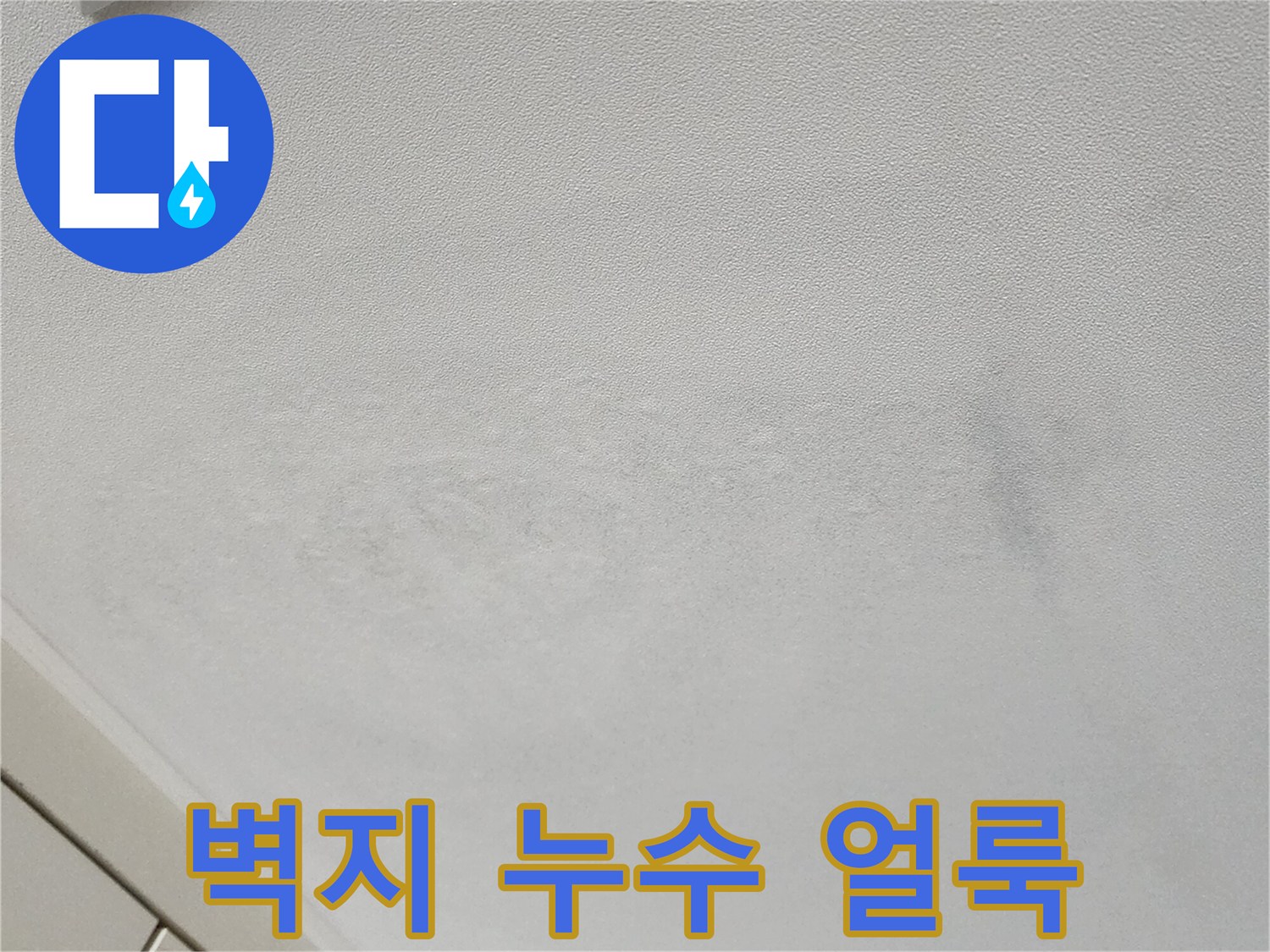 천장 벽면의 넓은 누수 흔적과 오염된 부위