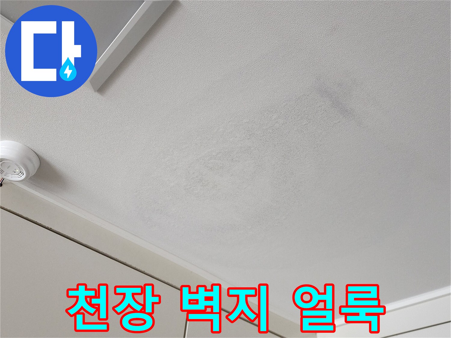천장-벽지가-젖어-얼룩진-상태-확인