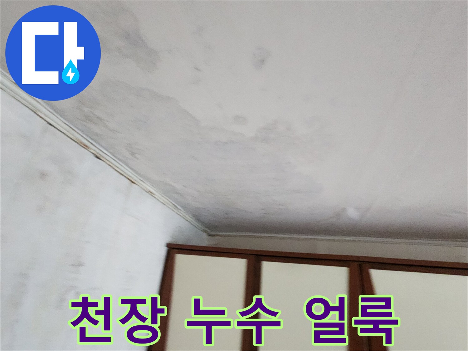 천장과 벽면 상단에 나타난 심한 변색 및 곰팡이
