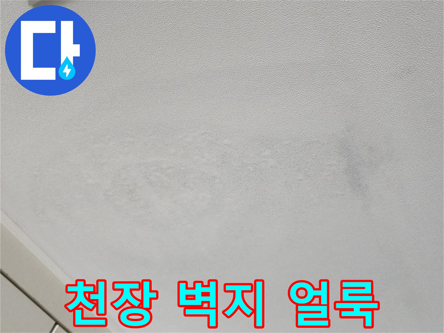 포천 가산면 현장의 천장 벽지 변색 및 얼룩 상태