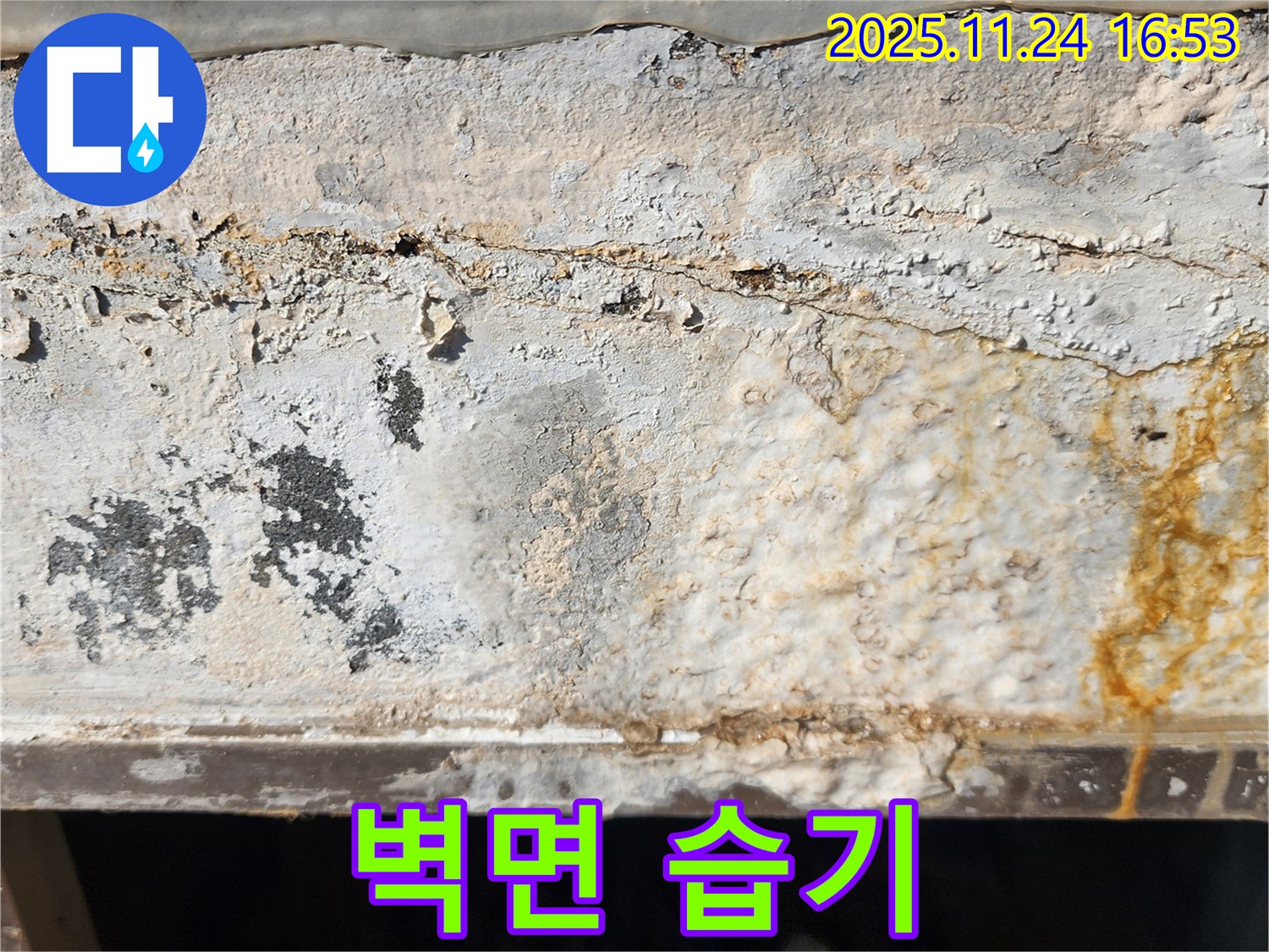 벽면의 습기 - 벽면에 습기가 차서 축축한 모습입니다.