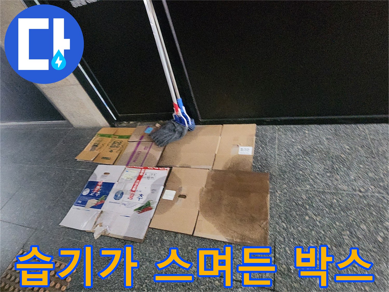 습기로 인해 젖어 있는 종이 박스와 바닥재